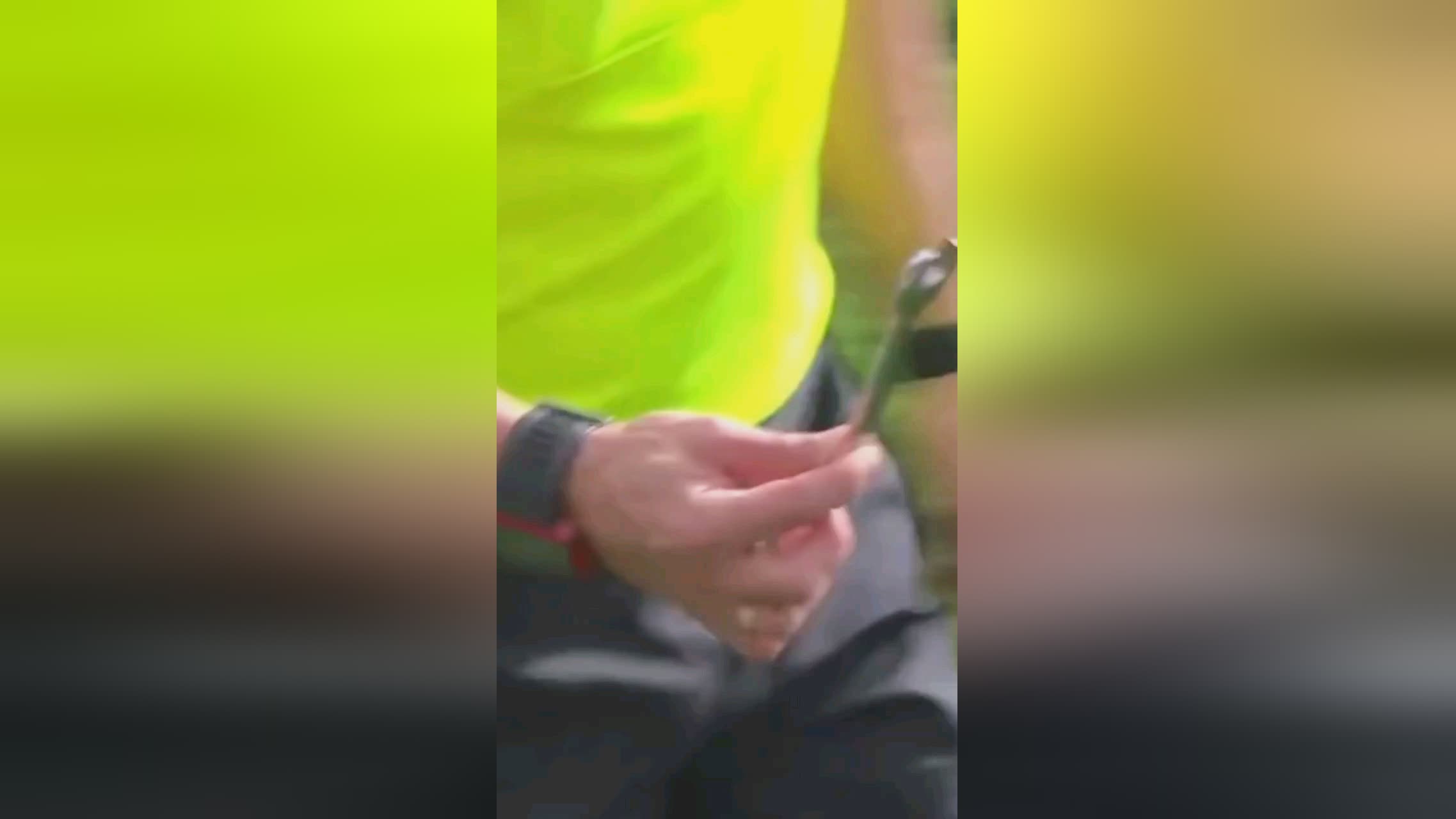 看到